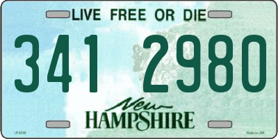 NH license plate 3412980