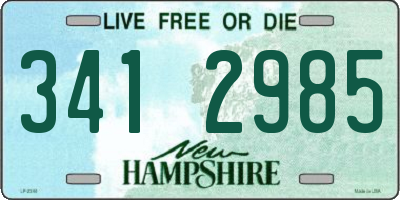 NH license plate 3412985