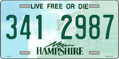 NH license plate 3412987
