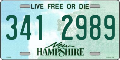 NH license plate 3412989