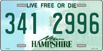 NH license plate 3412996