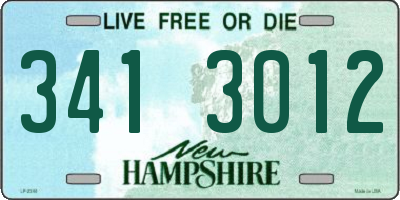 NH license plate 3413012