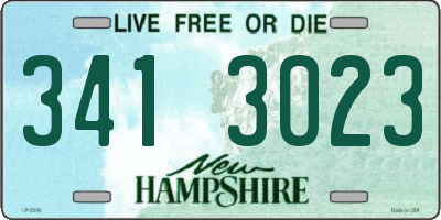 NH license plate 3413023