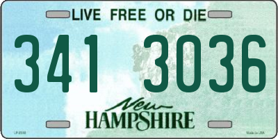NH license plate 3413036