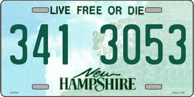 NH license plate 3413053