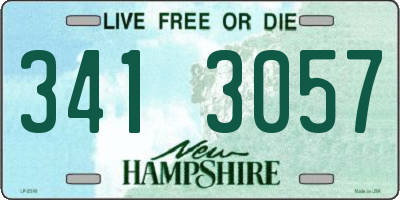 NH license plate 3413057
