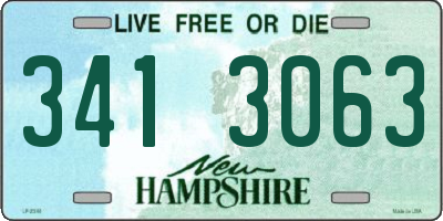 NH license plate 3413063