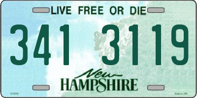 NH license plate 3413119