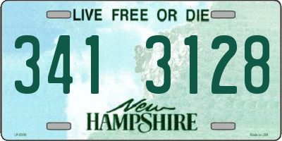 NH license plate 3413128