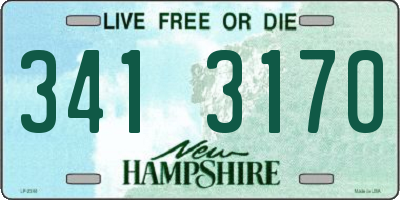 NH license plate 3413170