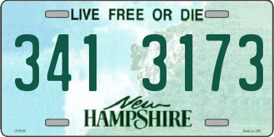 NH license plate 3413173