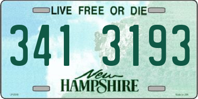 NH license plate 3413193