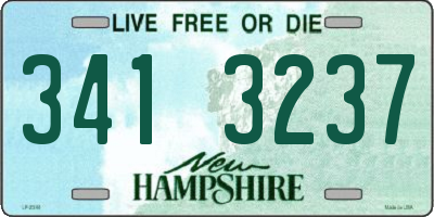 NH license plate 3413237