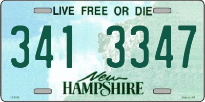 NH license plate 3413347