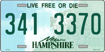NH license plate 3413370