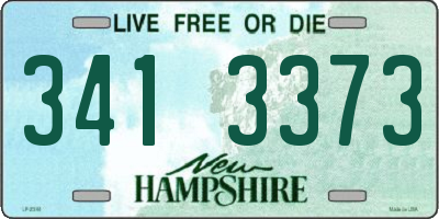 NH license plate 3413373
