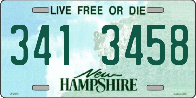 NH license plate 3413458