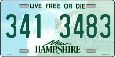 NH license plate 3413483