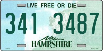 NH license plate 3413487
