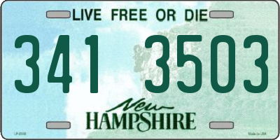 NH license plate 3413503