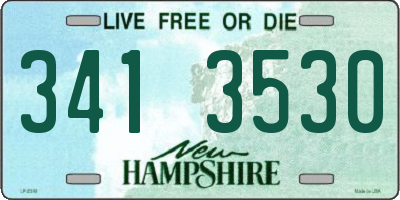 NH license plate 3413530