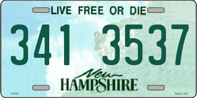 NH license plate 3413537