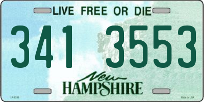 NH license plate 3413553
