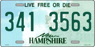 NH license plate 3413563