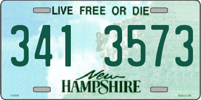 NH license plate 3413573