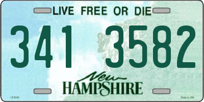 NH license plate 3413582