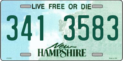 NH license plate 3413583