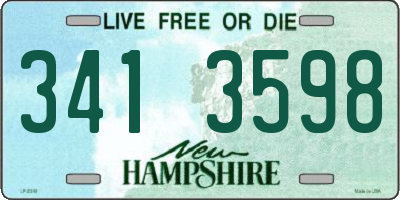 NH license plate 3413598