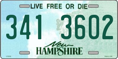 NH license plate 3413602