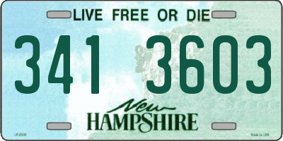 NH license plate 3413603