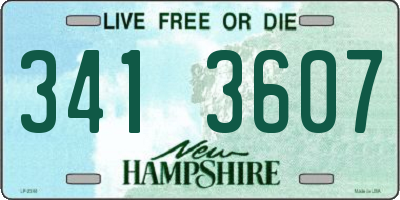 NH license plate 3413607