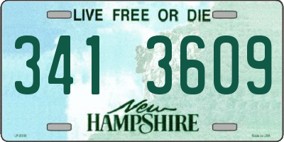 NH license plate 3413609