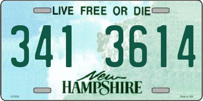 NH license plate 3413614