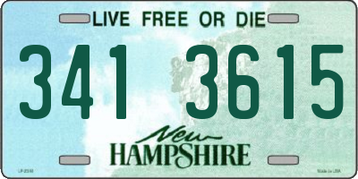 NH license plate 3413615