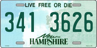 NH license plate 3413626
