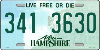NH license plate 3413630