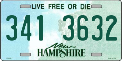 NH license plate 3413632