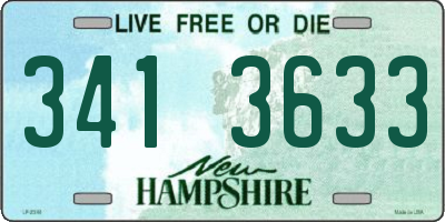 NH license plate 3413633