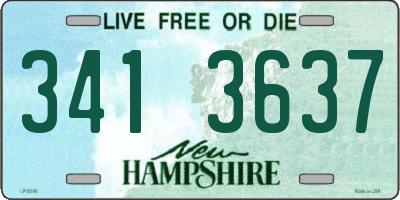 NH license plate 3413637