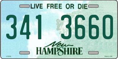 NH license plate 3413660