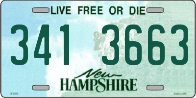 NH license plate 3413663