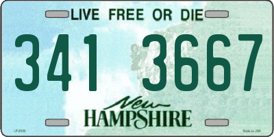 NH license plate 3413667