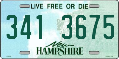 NH license plate 3413675