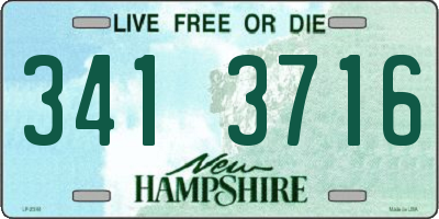 NH license plate 3413716