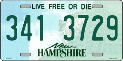 NH license plate 3413729