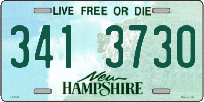 NH license plate 3413730